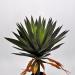 Yucca gloriosa artificiale small