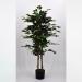 Pianta artificiale Ficus Benjamin verde 125