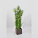 Papiro artificiale small