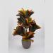 Croton variegato artificiale