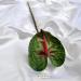Fiore artificiale Anthurium verde