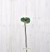 Fiore artificiale Anthurium verde