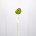 Fiore artificiale Anthurium verde