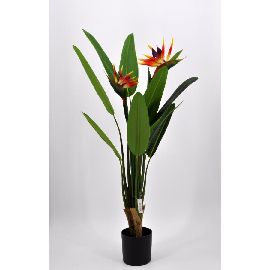 PlusFive Pianta Artificiale Uccello Del Paradiso (Strelitzia), Altezza 120 Cm, 8 Foglie, In Plastica, Con Vaso In Gesso, Ideale Per Decorazione Interni Ed Esterni - 3