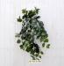 Pothos artificiale verde