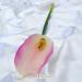 Fiore artificiale calla elegant fucsia