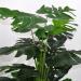 Pianta artificiale Philodendron
