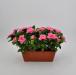 Azalea artificiale balcone rosa