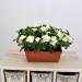 Azalea artificiale balcone bianco