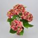 Pianta artificiale Ortensia rosa