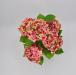 Pianta artificiale Ortensia rosa