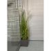 Pampas artificiale small