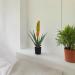Pianta artificiale Aloe