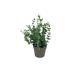 Set Piante artificiali aromatiche