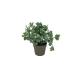 Set Piante artificiali aromatiche