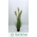 Pianta artificiale Sorghum small