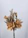 Bouquet Magnolia autunnale arancio