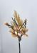 Bouquet Magnolia autunnale rosa antico
