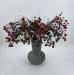 Bacca Aronia artificiale