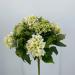 Bouquet fiori artificiali Ortensia verde