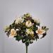 Bouquet Protea glow crema
