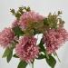 Bouquet Dalia Colorado rosa