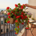 Geranio artificiale UV rosso cadente