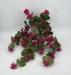 Geranio artificiale UV fucsia cadente