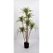 Dracena marginata artificiale