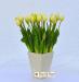 Tulipano artificiale èlite bianco