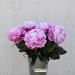 P.1 Peonia artificiale lux rosa