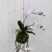 Orchidea artificiale Kokedama grande