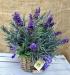 Composizione di fiori artificiali Provenza maxi