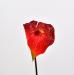 Fiore artificiale Anthurium rosso