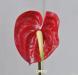 P fiore artificiale anthurium rosso