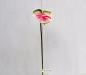 fiore artificiale anthurium rosa