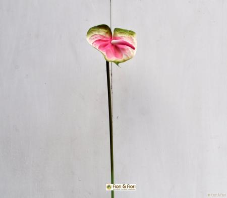 fiore artificiale anthurium rosa