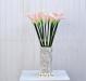 Par.1 calla elegant rosa