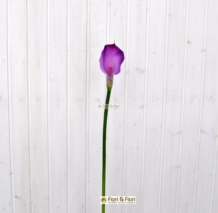 Fiore artificiale calla elegant viola