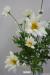 P.Fiore artificiale di margherita bianca