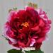 Peonia artificiale fucsia