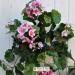 Geranio artificiale pelargonium cadente rosa